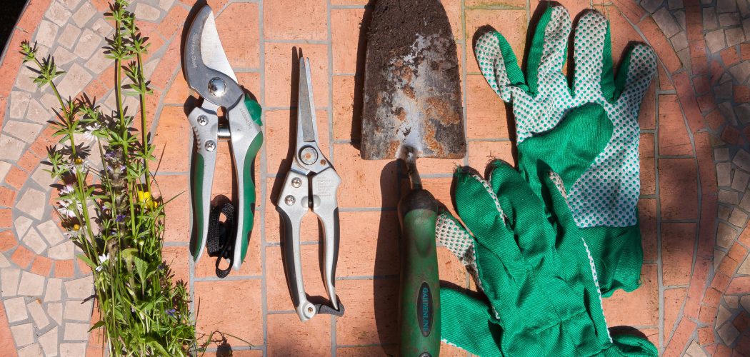 scissors-1424660_1920 scissors-1424660_1920